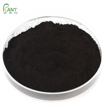Hot Sale: aged black garlic organic extract (fermenter black garlic) extract 50:1 powder